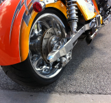 IMG 4433.JPG
